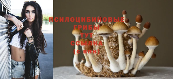 прущий лед Елизово