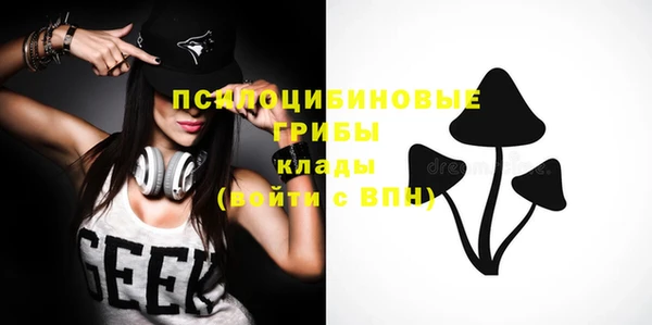 apvp Елабуга
