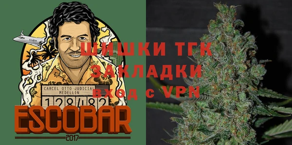спайс Ельня