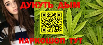Альфа ПВП Гатчина
