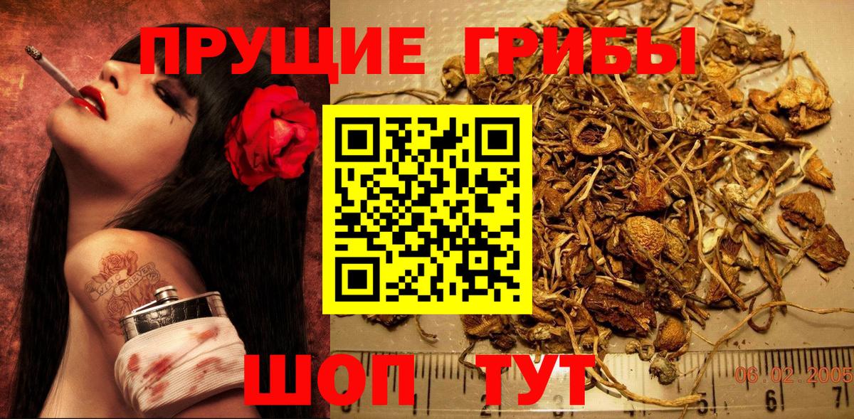 Псилоцибиновые грибы Cubensis  Вход с VPN  Нефтекамск 